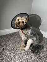 VIP Veterinary Services