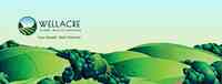 WellAcre Global Wealth Advisors