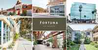 Fortuna Asset Management