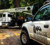 Mother Lode Tree Service