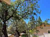 Northcali Landscaping & Tree services