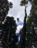 Minners Tree Company