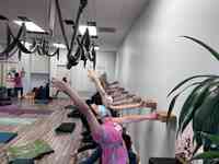 Tree Yoga Center