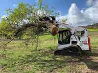 Urban Tree Care