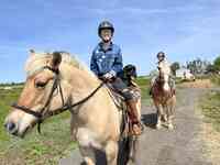 Therapeutic Riding And Off-Track Rehabilitation