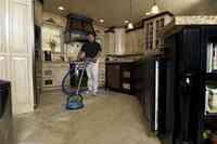 A Cleaner Carpet - Carpet Cleaning