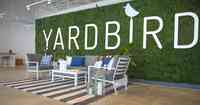 Yardbird