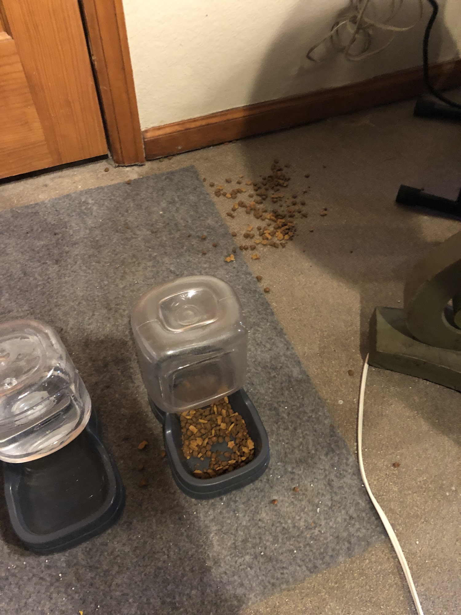 Exceptional House Cleaning Inc