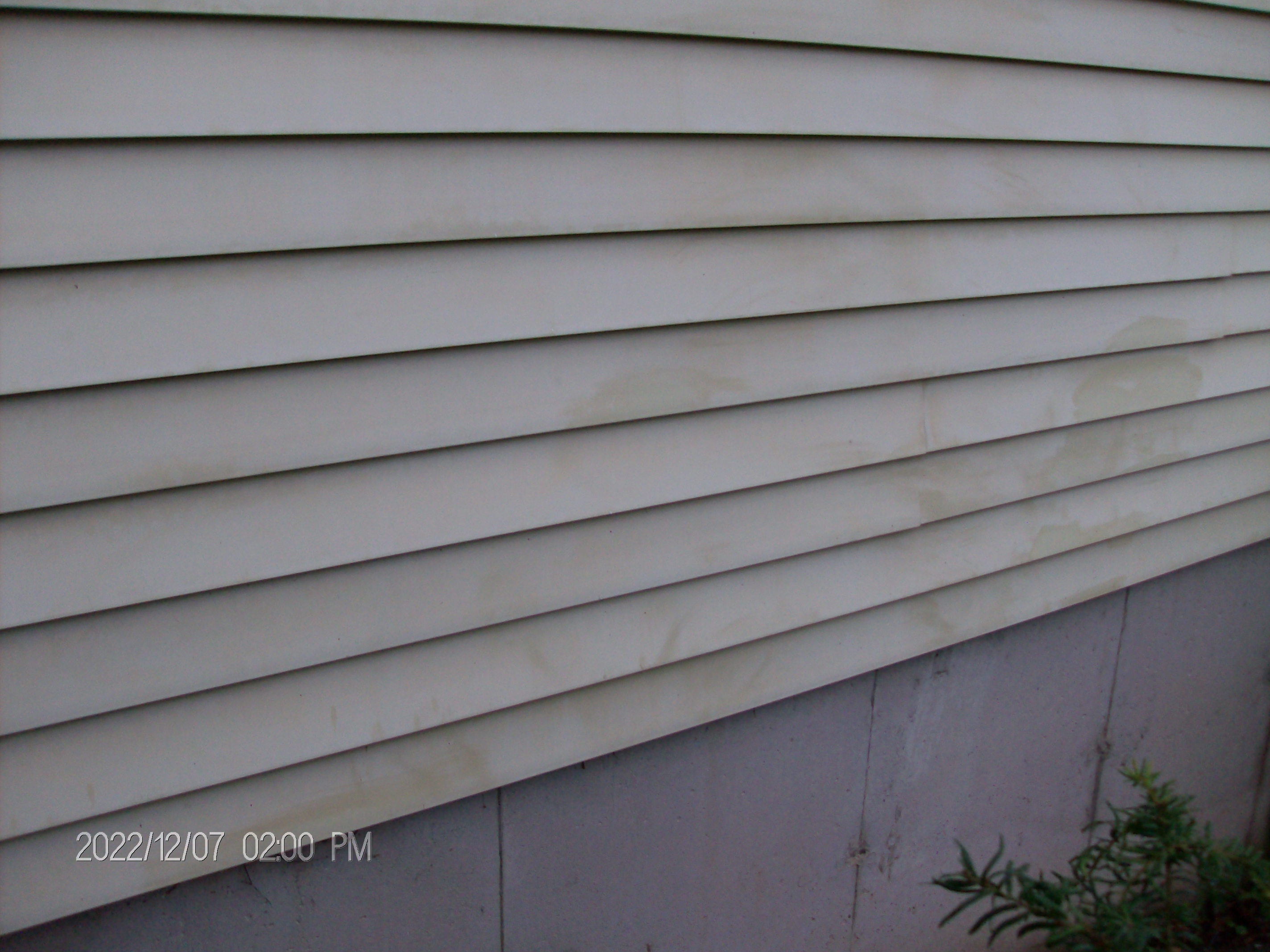 Photo credit: bestprosintown