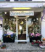 Darien Flowers