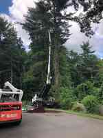Natural Systems Tree Service