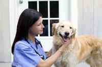 Bespoke Veterinary Services