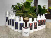 Thomas Shelton Hair Design