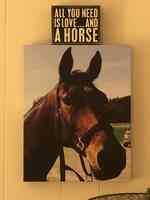 Cokesbury Veterinary Services (Equine Only)