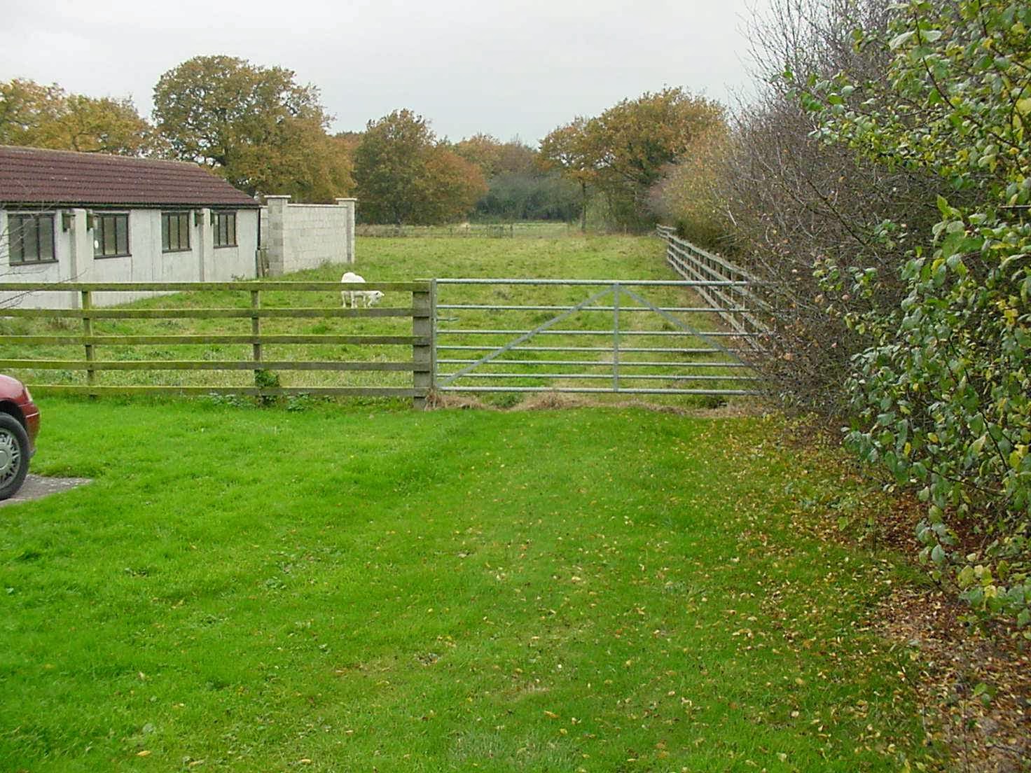 Three Acres Kennels and Cattery