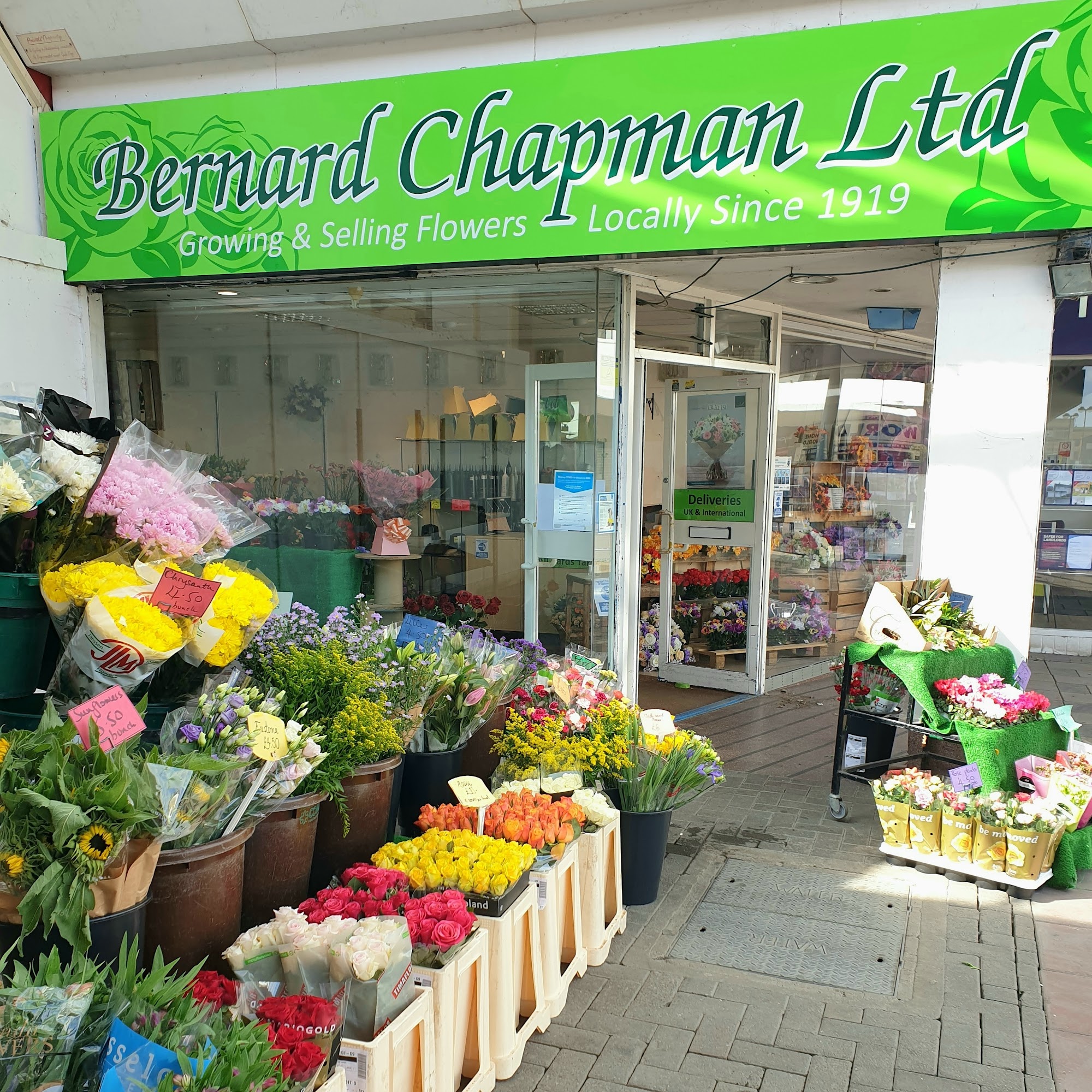 Bernard Chapman Florist