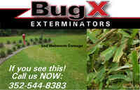 BugX Exterminators