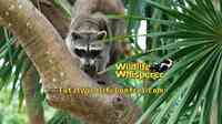 A Wildlife Whisperer