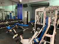 Davie Fit Bodies Gym