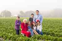 Parkesdale Farm Packing