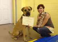 P.U.P.S. Dog Training LLC