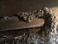 Tombstone Termite & Pest Control Inc