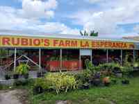 Rubios Farm - Fresh Produce