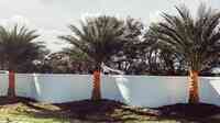 Jax Palm Trees