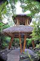 Tropical Bamboo Nursery & Gardens