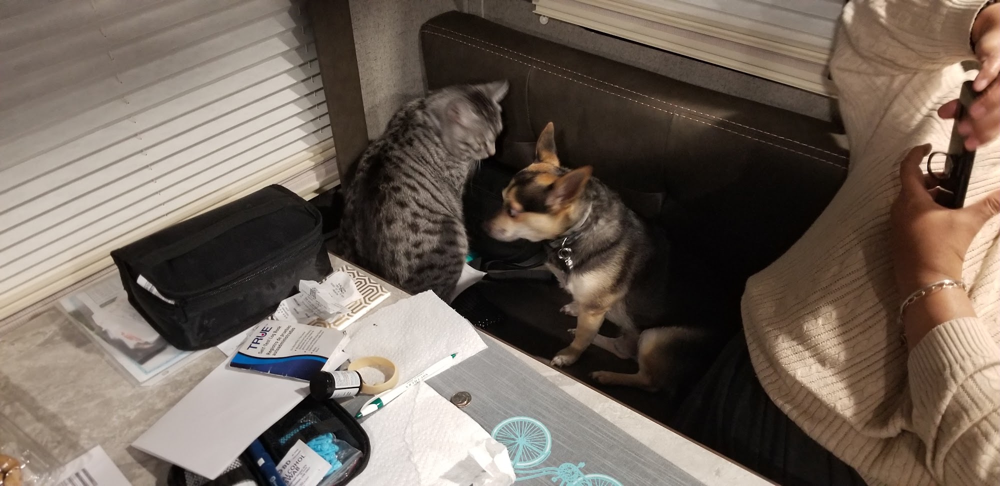 Cherokee Country Kennel Marianna