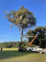 Turbeville Tree Services