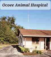 Ocoee Animal Hospital