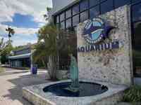 Mote Marine Laboratory & Aquarium