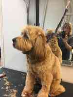 Puppy Love Dog Grooming