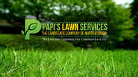 Papi's Lawn Services - Landscape Company of North Florida 32097