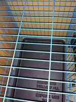 Dillard Winters Jr Complete