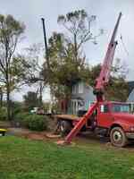 Lee's Tree Service