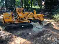 GA 400 Tree & Stump Removal