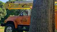 Campbell's Certified Arborist services