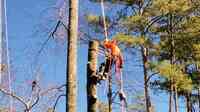 Southern Touch Tree Service
