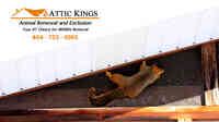 Attic Kings Inc