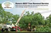 Maloney's Tree Service