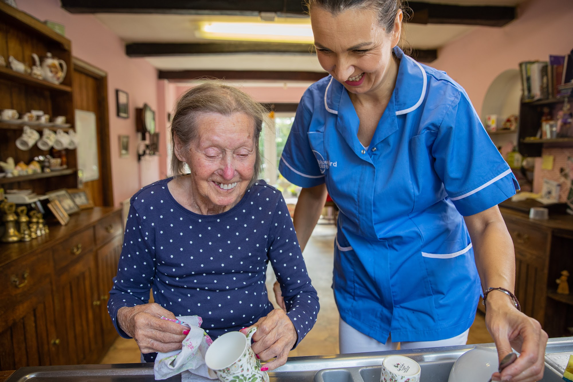 Bluebird Care