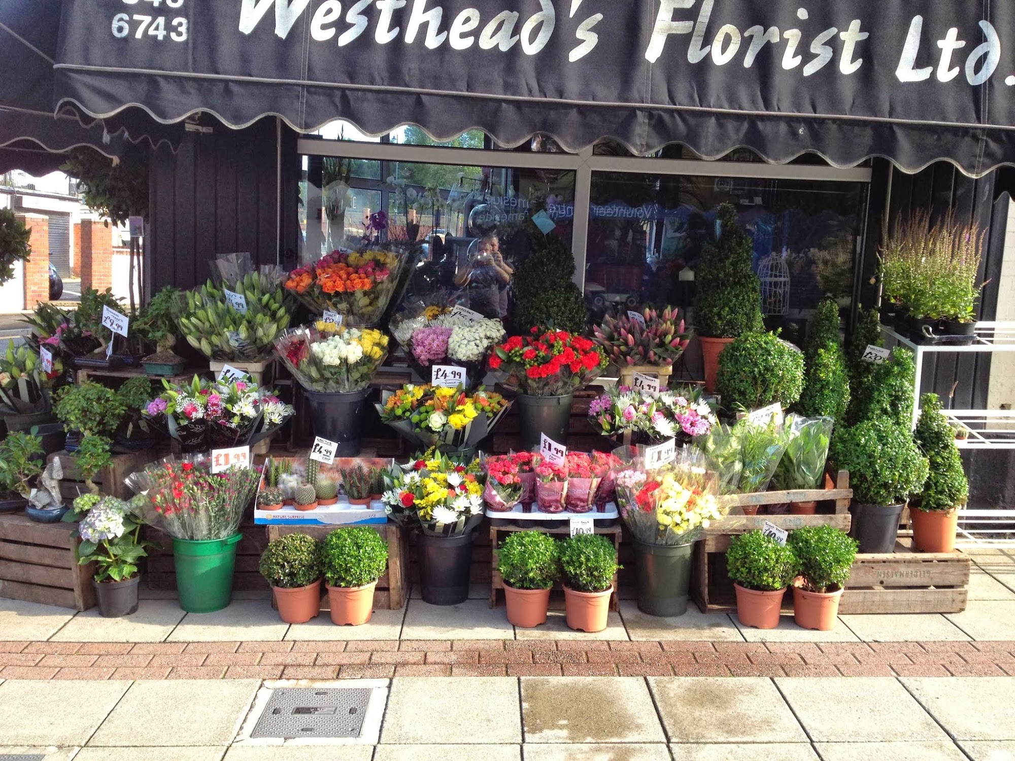 Westheads Florists
