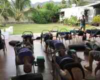 Yoga Moves Hawaii