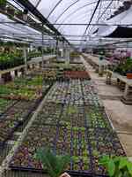 Holub Garden & Greenhouses