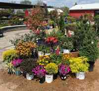 Country Landscapes & Nursery