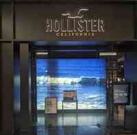 Hollister Co.