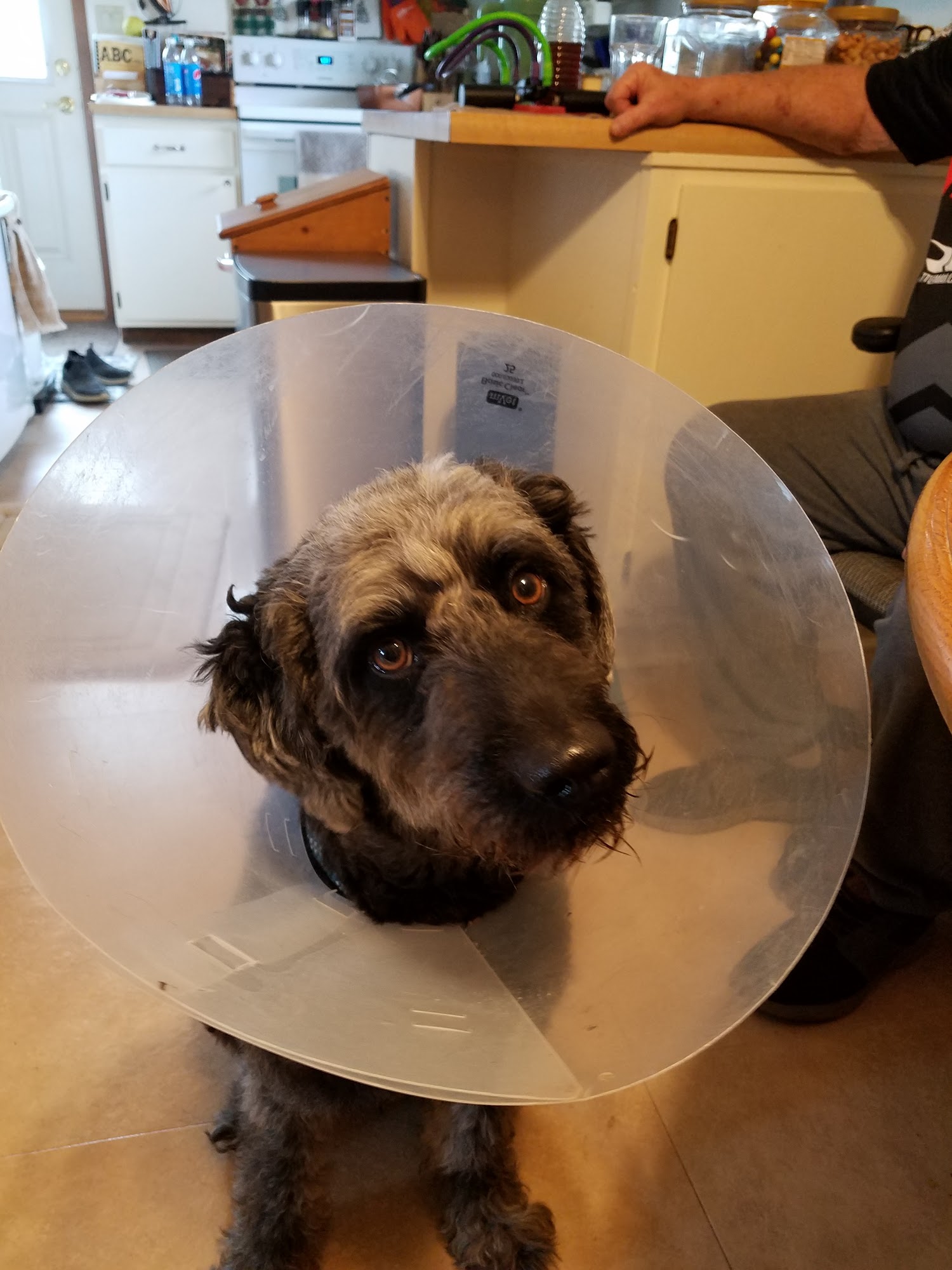 Inwood Veterinary Clinic Inwood