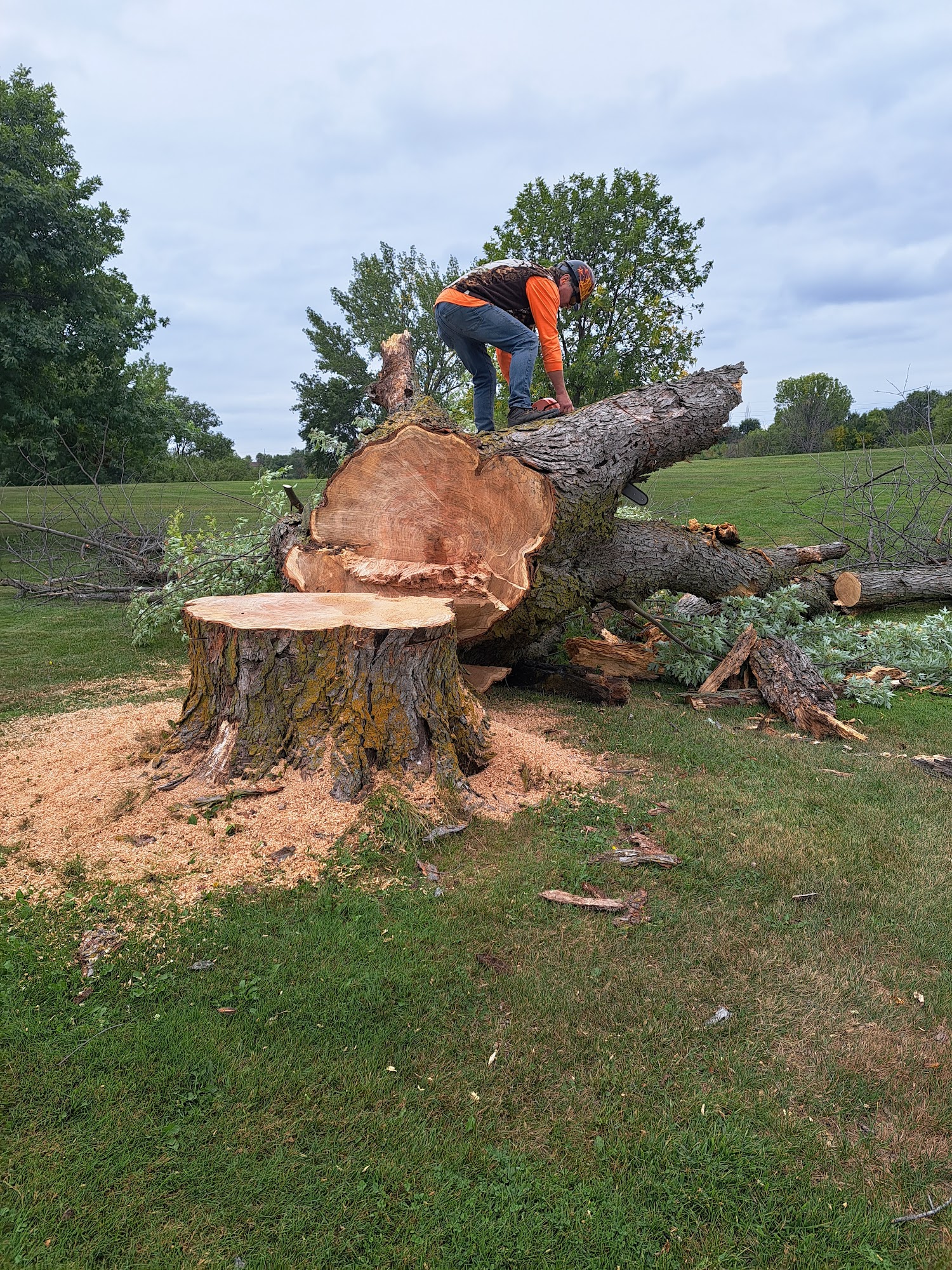 Woodlyn Tree Services 2376 220th St, Milford Iowa 51351